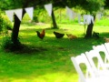 chickens-and-flags-megan-adam-wedding-2014-024-152dde074ae41cbb577055a43b2cec745ce6bbe3